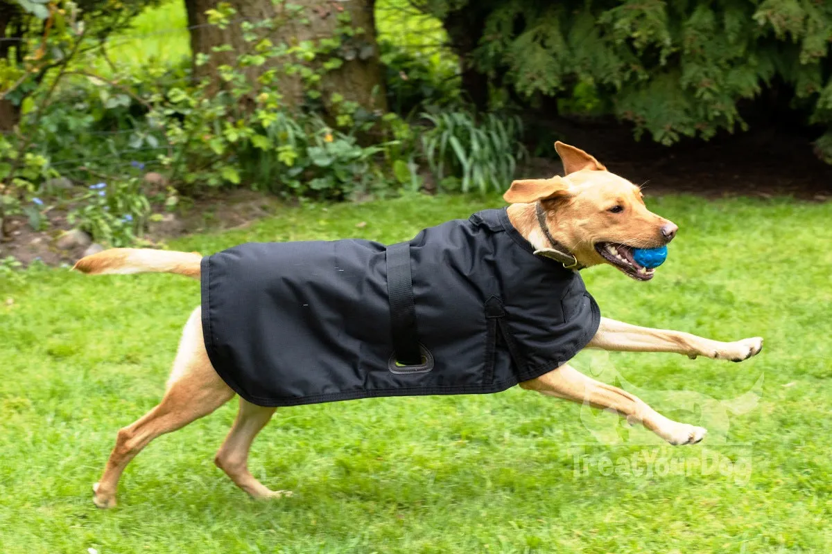 All Seasons Waterproof Dog Coat in Black