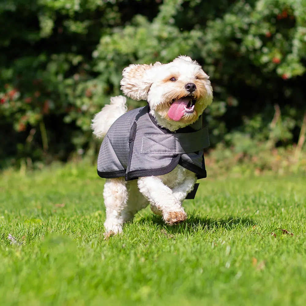 All Seasons Waterproof Dog Coat in Grey