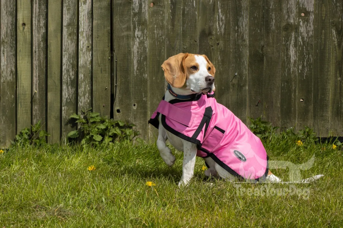 All Seasons Waterproof Dog Coat in Pink