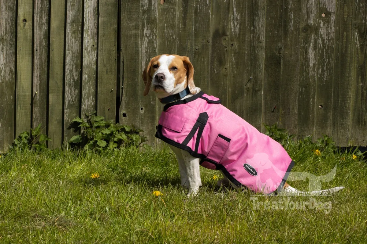 All Seasons Waterproof Dog Coat in Pink