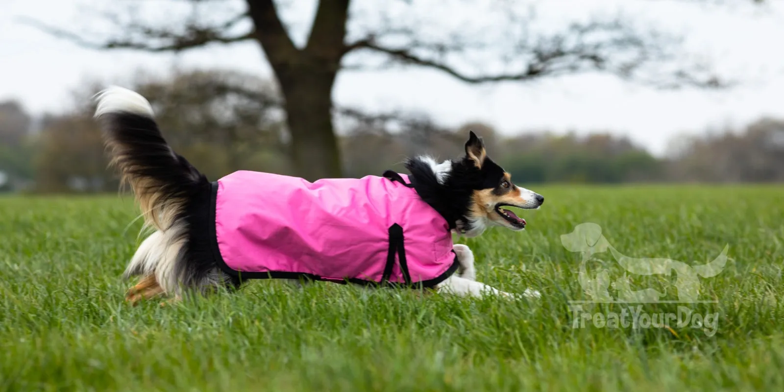 All Seasons Waterproof Dog Coat in Pink