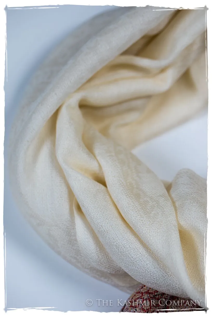 Isabella Frontière Ivory Kashmir Wool Scarf